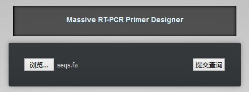 rt-primer-designer